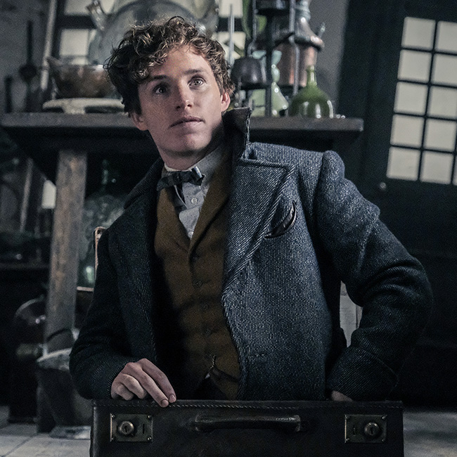 ニュート・スキャマンダー | ハリー・ポッター | ワーナー・ブラザース